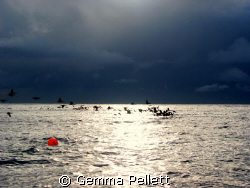 Divers Down, early morning at smits bay, Cape Town by Gemma Pellett 